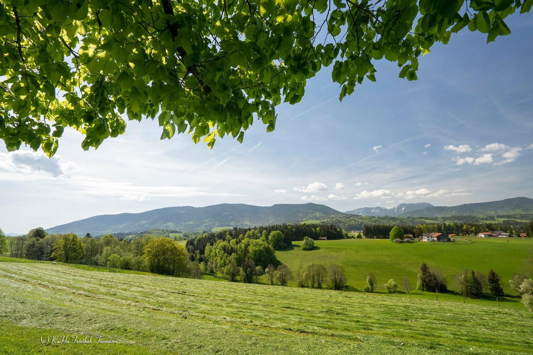 Monteurzimmer Am Teisenberg Neukirchen am Teisenberg Esterno foto